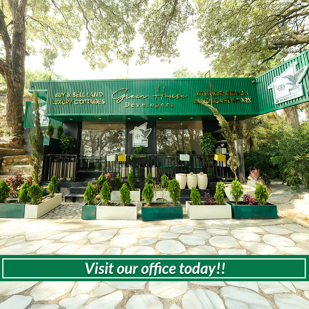 Developer Interior Designer - Green House Luxury Home Stay